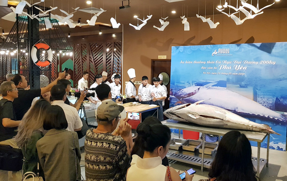 Trình diễn ẩm thực cá ngừ đại dương Phú Yên tại Hà Nội